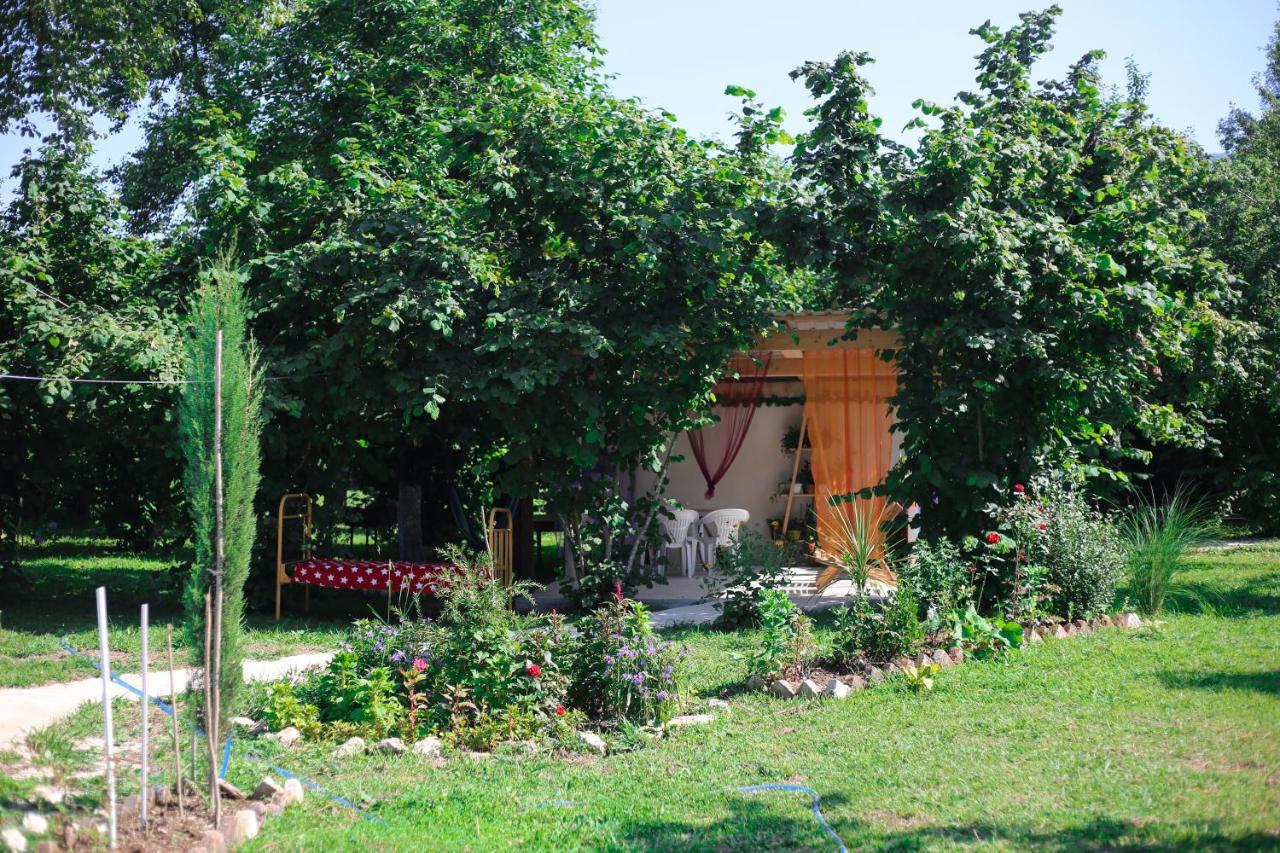 Novel House Διαμέρισμα Martvili Εξωτερικό φωτογραφία