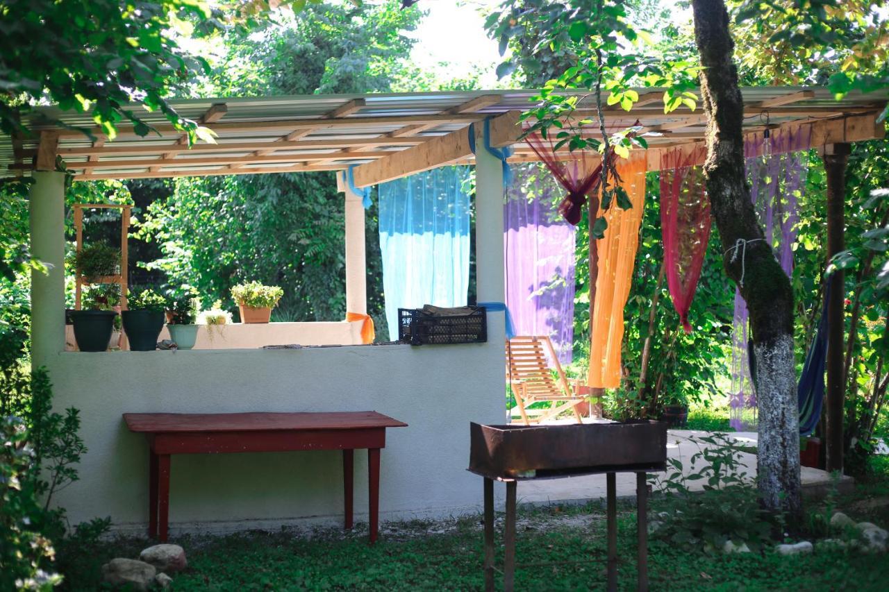 Novel House Διαμέρισμα Martvili Εξωτερικό φωτογραφία